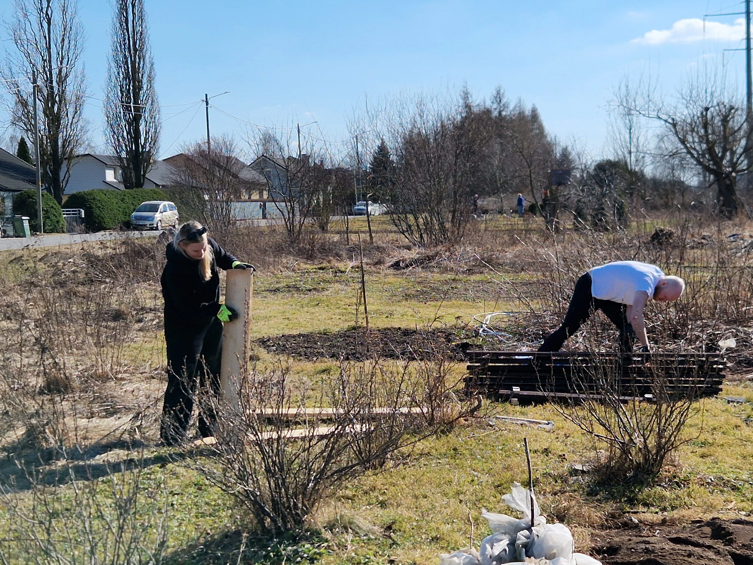 Raised Beds — 1