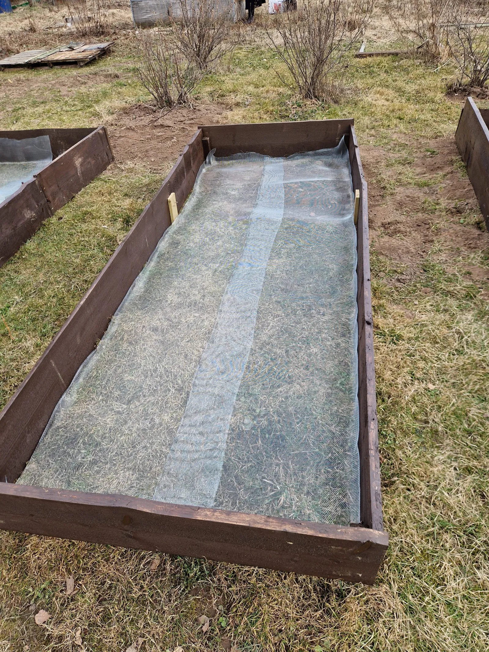 Raised Beds — 3