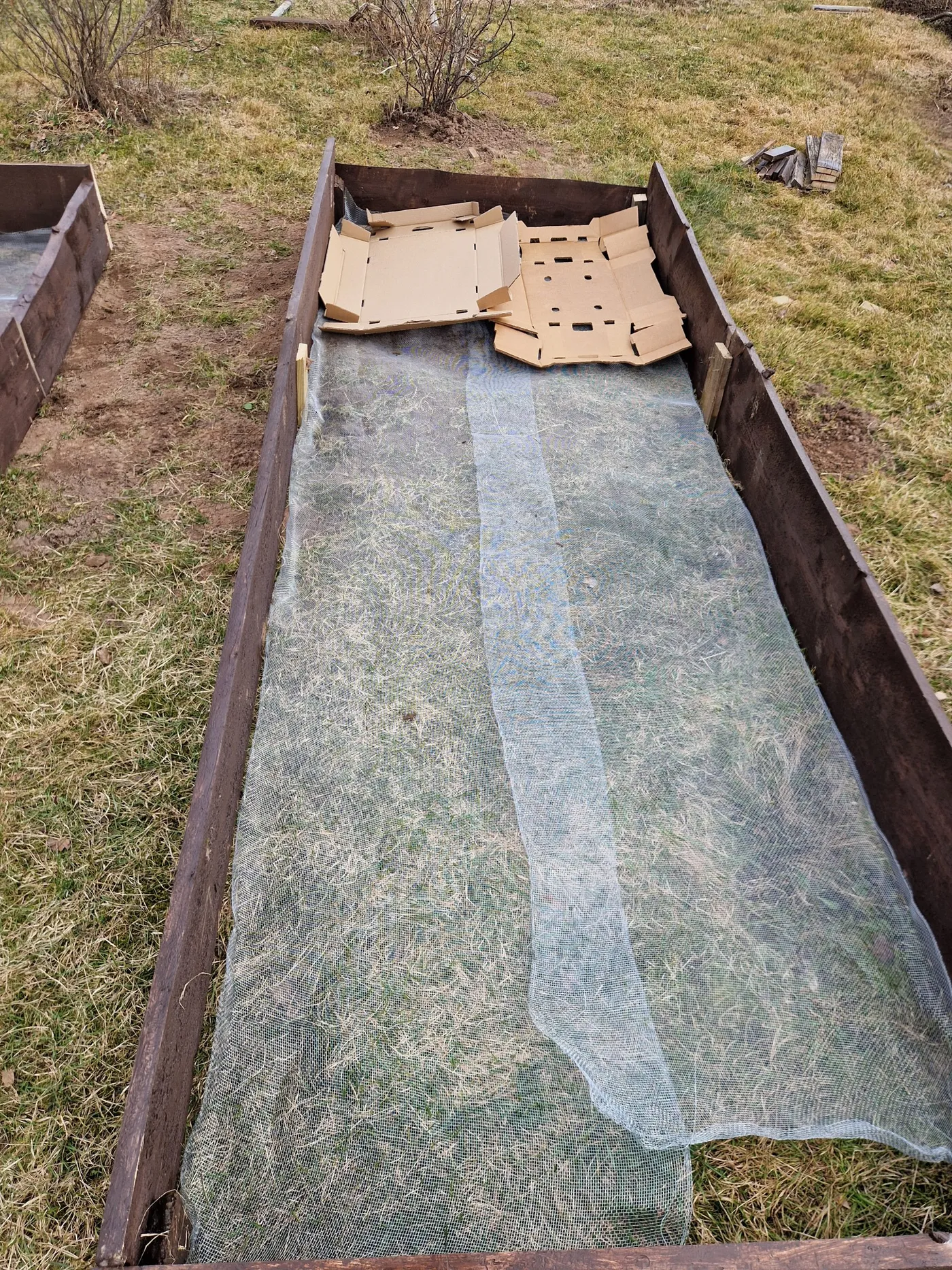 Raised Beds — 4