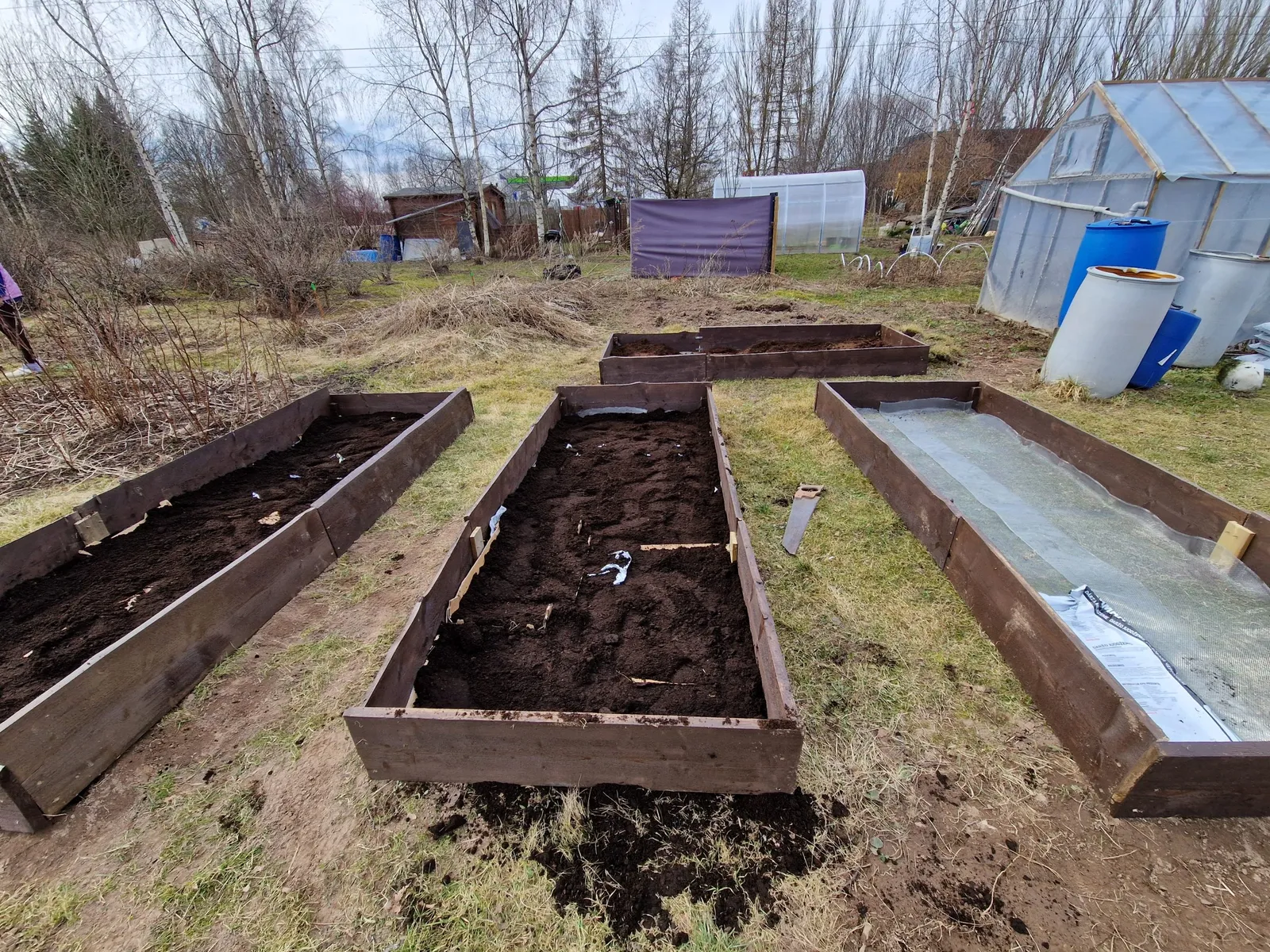 Raised Beds — 6
